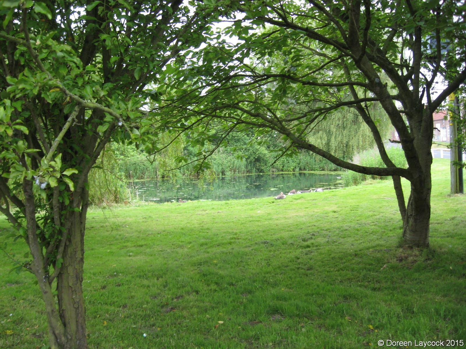 GENUKI Kilham Village views etc., Yorkshire (East Riding)