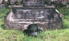 Close-up.jpg (99469 bytes)